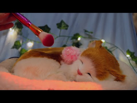 ASMR: Perfeito para relaxar e dar soninho | Muito bom para ouvir estudando, trabalhando...