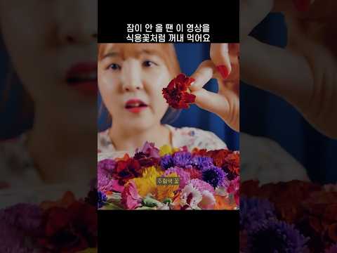 🌸식용꽃은 무슨 맛일까 ASMR