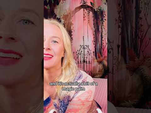 ASMR magic palm