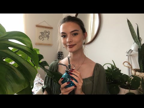 ASMR Houseplant Show & Tell 🌱