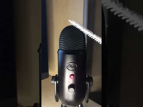 Scratchy Brushing Sounds! 😵‍💫🎙️ #asmr #7on1s #7on1sasmr #scratchybtushing