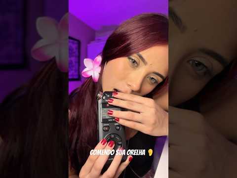 comendo sua orelha no TASCAM