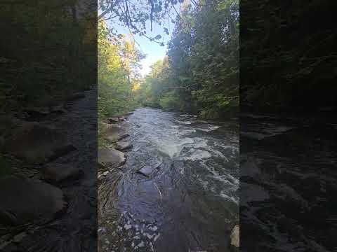hiking