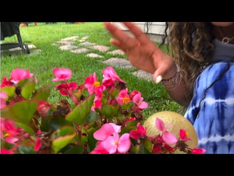 ASMR out in nature