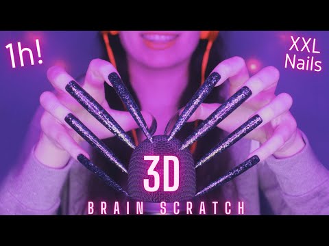 Asmr Mic Scratching - Brain Scratching | Brain Melting Asmr No Talking for Sleep with Long Nails 1H