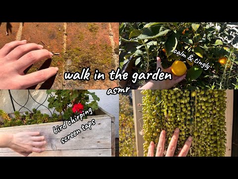 walk in the garden (nature asmr)