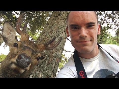 [ASMR] My Trip to Japan: A Binaural Ramble