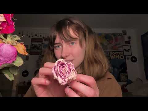 plucking rose petals | ASMR | ~lofi~
