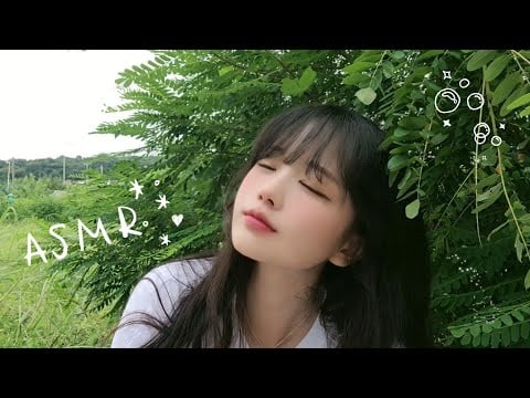 시골 소녀의 여름 ASMR🌿 | 자연 그대로의 소리 (새+매미)