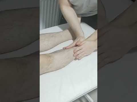 TURKISH MASSAGE THERAPY THAT ENERGIZES THE FRONT LEGS #satisfying #relaxing #asmr #shorts #massage