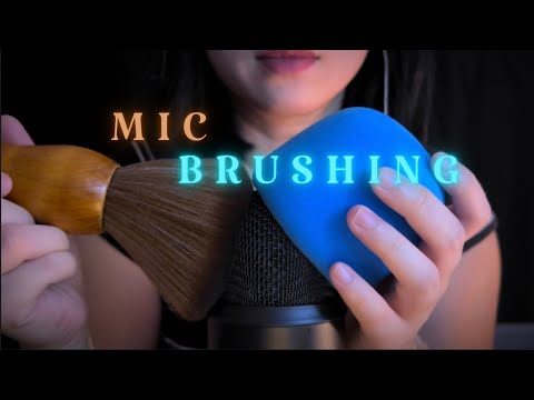 ASMR Big Brush , intnese Mic Brushing , Deep Brain Brushing , Mic Triggers (No Talking)