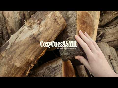 ASMR Exploring the Forest with My Cat 🐈 | We Found Chickens! 🐔