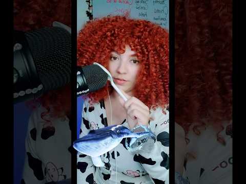 ASMR | Me dieron 2 ballenas en vivo #asmrenespañol #asmr #yesasmr