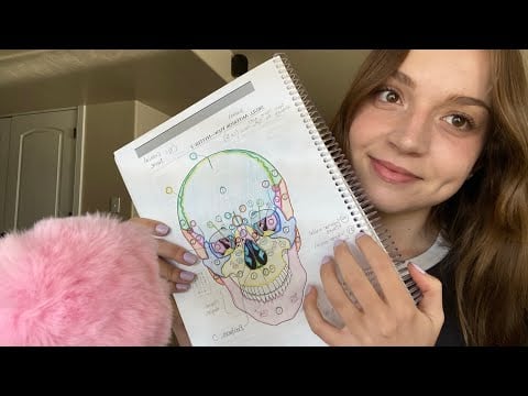 ASMR POV: Your Anatomy Test Is Next Period (you forgot everything) 😬🫀