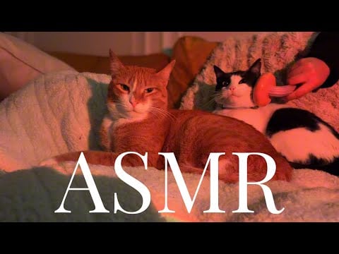 ASMR singing Norman and Goldie lullabies
