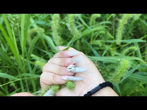 🔴Live stream 🔴🌙 Night ASMR | Outdoor Random Tapping 💤 Relax & Sleep
