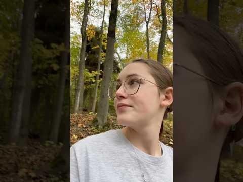 Je suis dans une forêt enchantée (selon les vidéos et les dossiers enregistrés à quelques pars)