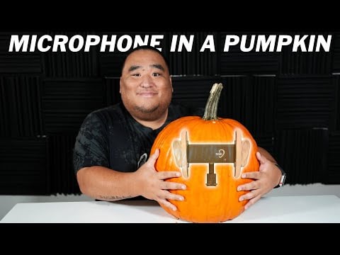 I Put a Microphone Into a PUMPKIN 🎃 ASMR