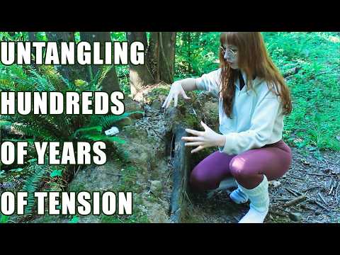 gnarled root massage (asmr)