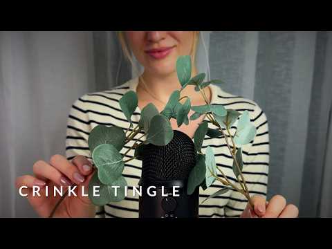 ASMR | CRINKLE for TINGLE 😰😴