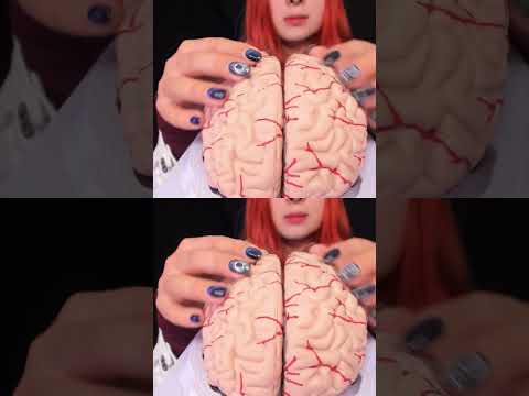 ASMR 🧠 BRAIN TINGLES... Literally! Sleep & Relaxation #asmr #shorts
