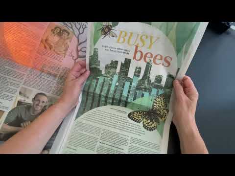 Reading and Discussing the Newspaper Weekend Edition - Soft Spoken ASMR, Financial Retirement, Bees