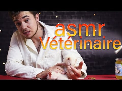 Asmr : Rôle Play Vétérinaire 😻