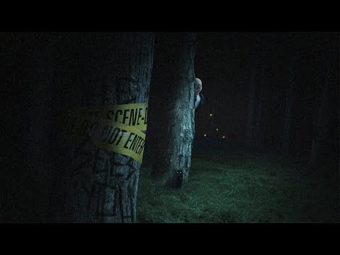 Forest night walk, but a strange man is creeping