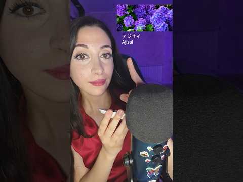 ASMR Come si dice? Edizione Giapponese  #asmr #relax #sleep #tingles #triggersforsleep #relax #kiki
