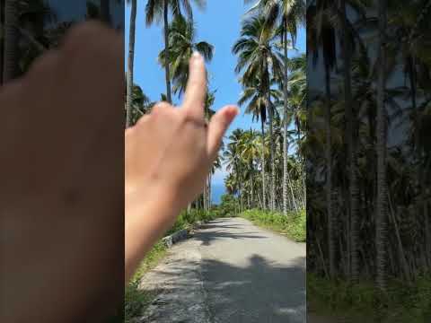 Nature ASMR in Indonesia #relax #visualtingles #tingles #triggersforsleep #stressrelief #mouthsound
