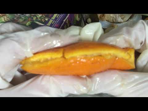 LATEX GLOVES  🍪🧤🍌 DUMPSTER DIVING🧅🍕  MESSY [[ASMR]]