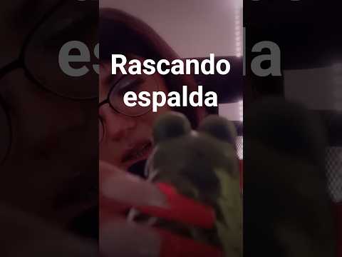 rascandole la espalda a jfrog #asmr #relax #visualtingle #tingles #mouthwhisper #tapping #whispering