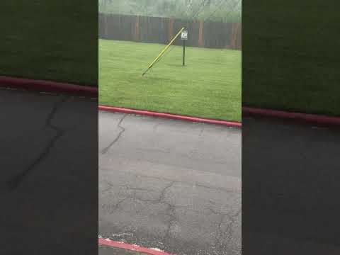 It’s raining again #rain #short