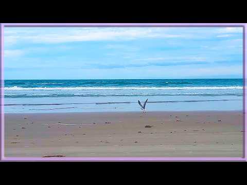 ASMR ✨ The MOST RELAXING Waves Ever 🌊 Ocean Sounds to Sleep, Study and Chill | 5Hrs | Daytona Beach