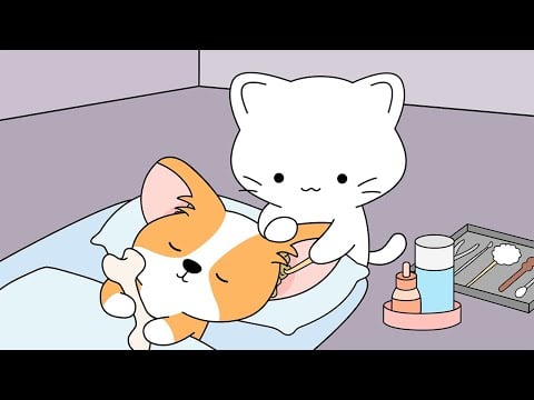 cat's ear cleaning salon | ASMR animation