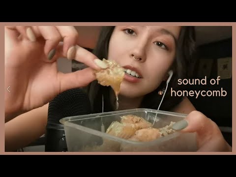 ASMR || Honeycomb Eating ~~The TINGLIEST whisper ~~