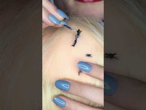 Bugs Plucking 🐜 #asmr #relax #visualtingle #satisfying #tingles #asmrscratching #asmrmassage