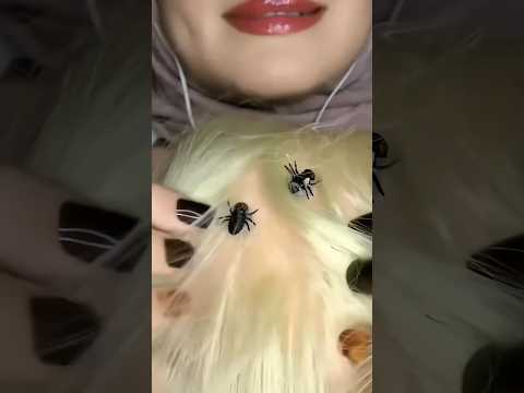 Let’s check your hair 💆🏻‍♀️ #asmr #satisfying #visualtingle #relax #satisfyling #shorts
