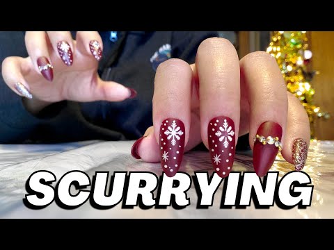ASMR Unpredictable Fast Scurrying Up to Camera (No Talking)