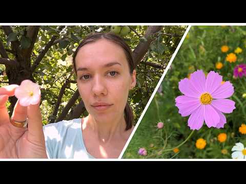 ASMR: A Sunny Day in the Garden☀️🌳