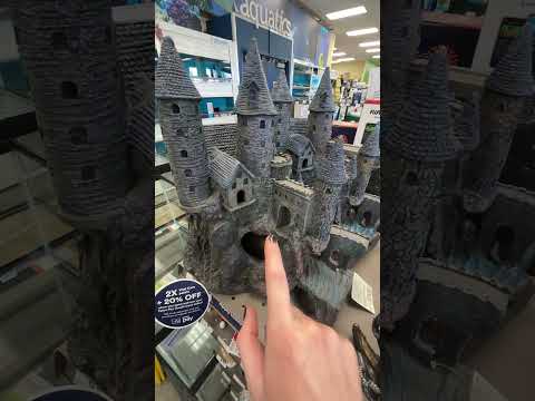 public asmr at petco #asmr #publicasmr #lofiasmr #relax