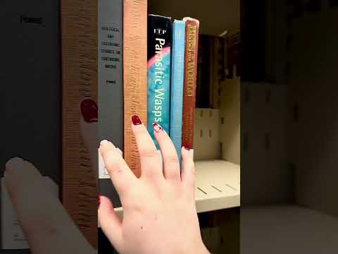 ASMR | Public Book Tapping #relax #visualtingle #asmrtriggers #tappings #tingles #triggersforsleep