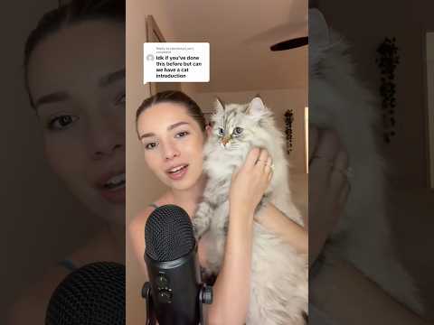 ASMR MEET MY CAT LUNA #asmr #whispering #siberiancat