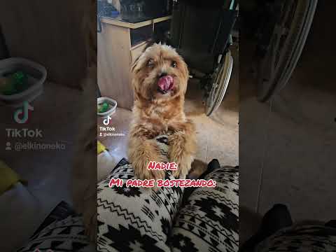 Nadie. Mi padre bostezando 🤣
