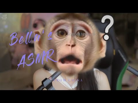 【贝拉小姐姐 ASMR】略略略，扇子，口腔音