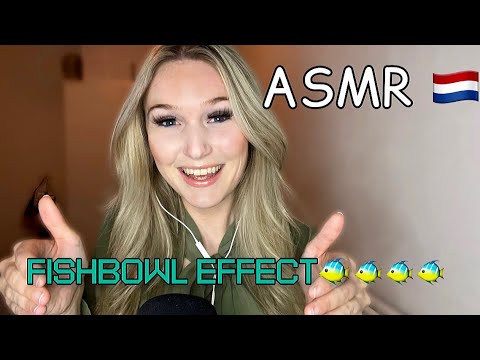 ASMR IN DUTCH 🇳🇱 | THE FISHBOWL EFFECT 🐠🐟🐡