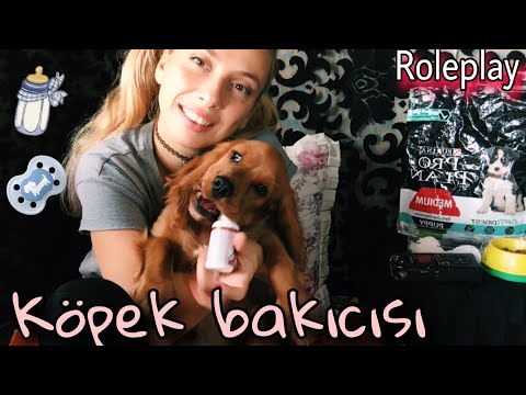 Böyle köpeğe böyle bakıcı 😂 Roleplay ~ Dog sitter 🐶 ~Türkçe Asmr ~ Dog grooming supplies ~Triggers