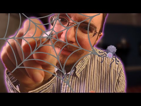 ASMR | Spider Web Removal - Personal Attention, Lofi