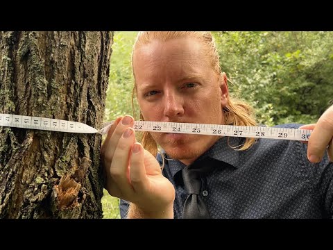 The Tree Tailor 🪡 An ASMR Roleplay