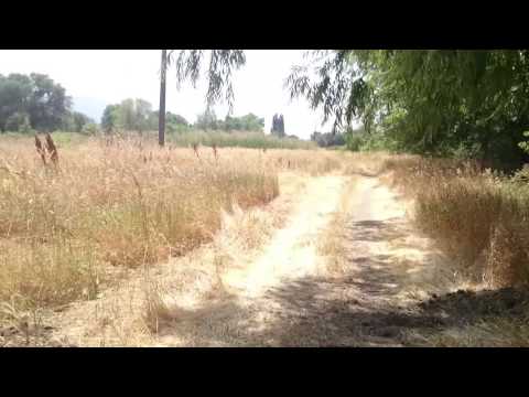 ASMR Midday Escapades - Across the Tracks